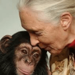 Jane Goodall