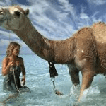 Robyn Davidson